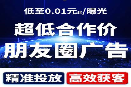 成功案例：信息流广告的创意与市场反应